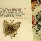 Editor's Journal Notes - The Beauty of the Butterfly