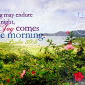 Word: Joy Comes in the Morning - Psalm 30